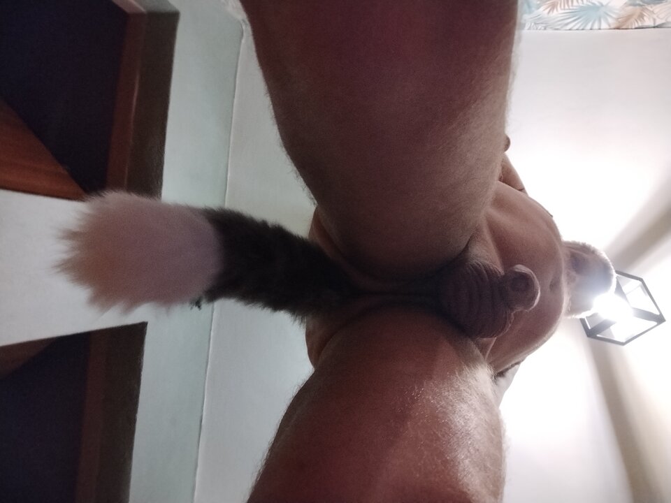 1000004512.jpg - Marcin1981wro