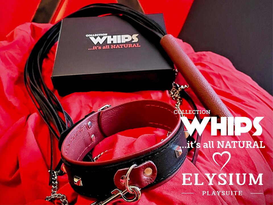12313245142.jpg - ElysiumPlaysuite