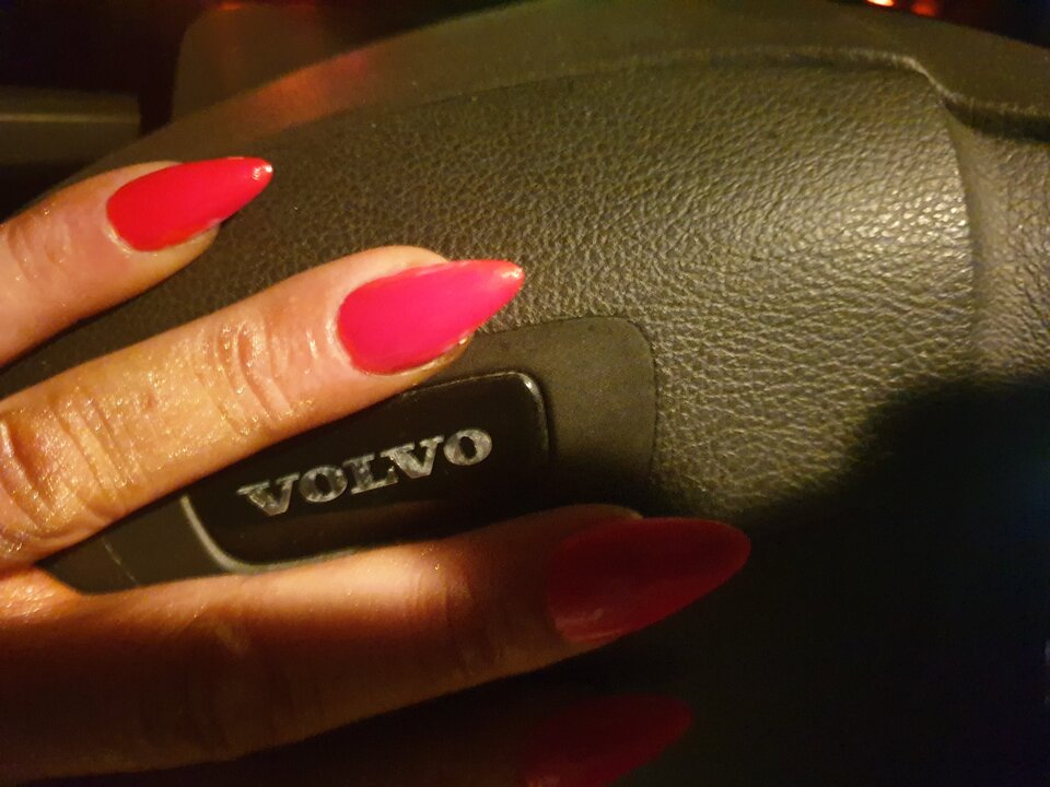 20250330_203137.jpg - Cherrissimo_kr