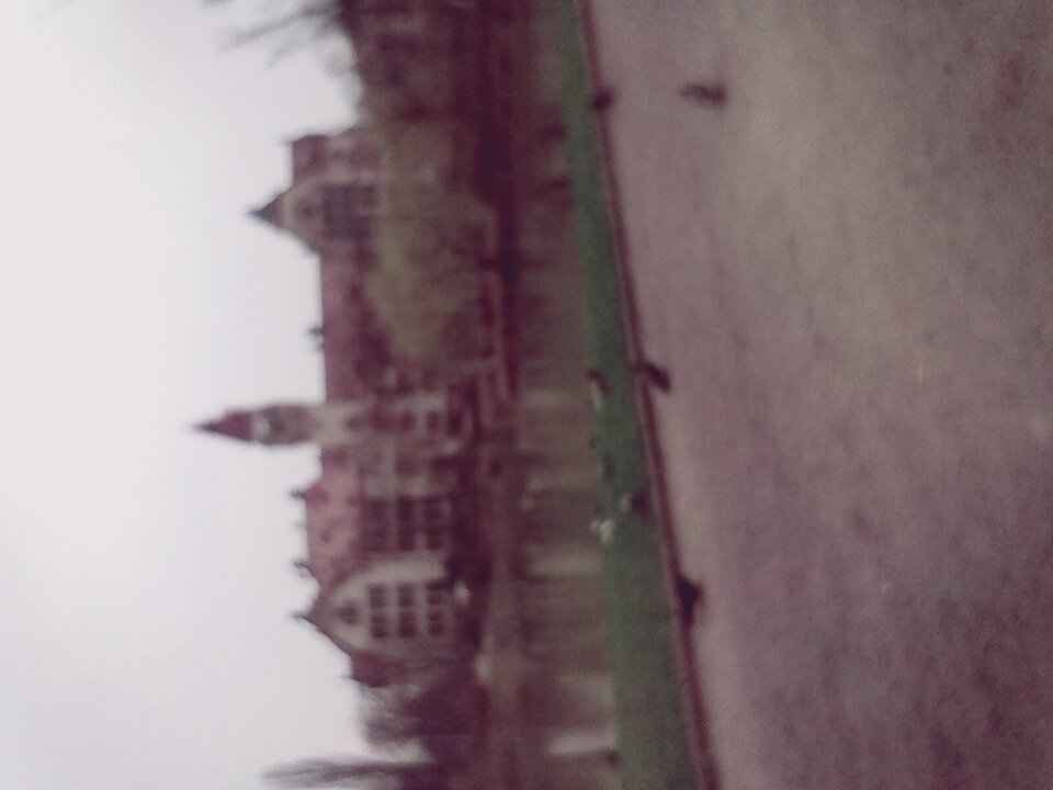 1000001593.jpg - Markus1966uk