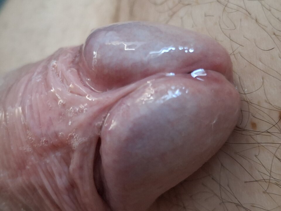 2025-04-0108.09.202702057819620000798.jpg - mar_nn40