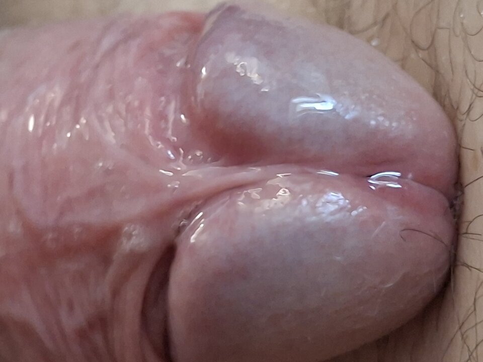 2025-04-0108.09.541772090400803590746.jpg - mar_nn40