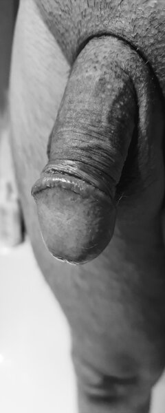 20250401_151929.jpg