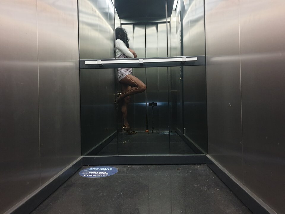 20250401_185127.jpg - Cherrissimo_kr