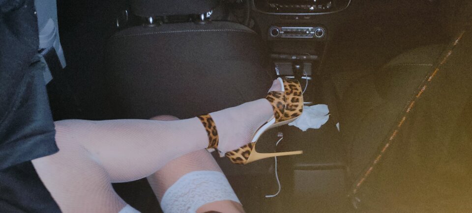 IMG20250402015550.jpg - paulstarkface