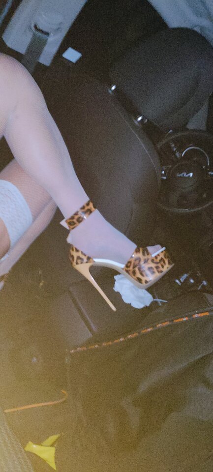 IMG20250402015717.jpg - paulstarkface