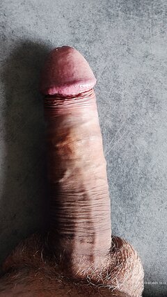 IMG_20250215_121706.jpg