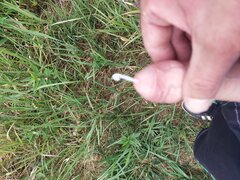 IMG_20240616_102953.jpg