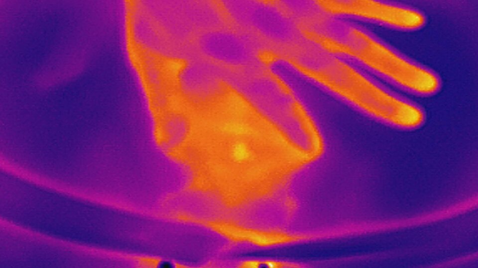 PARD_20250402_230633.JPG - D1D2