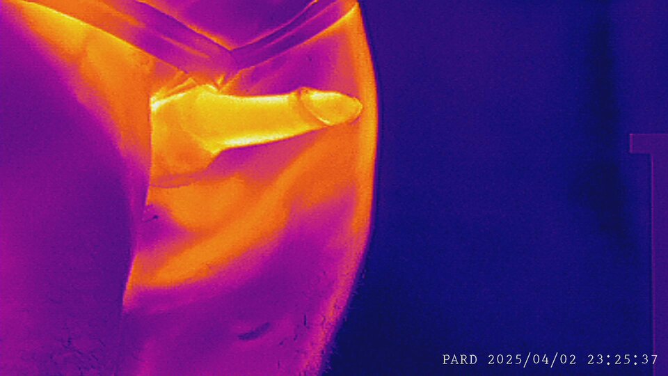 PARD_20250402_232537.JPG - D1D2