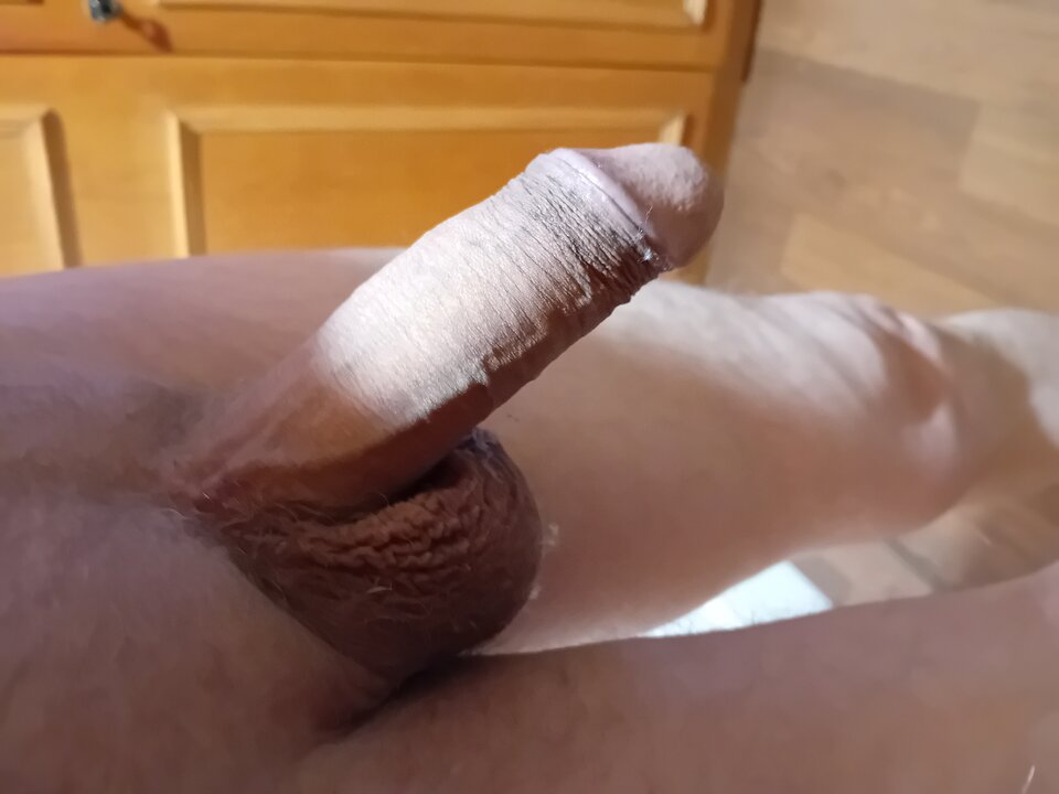 1000007252.jpg - brus13