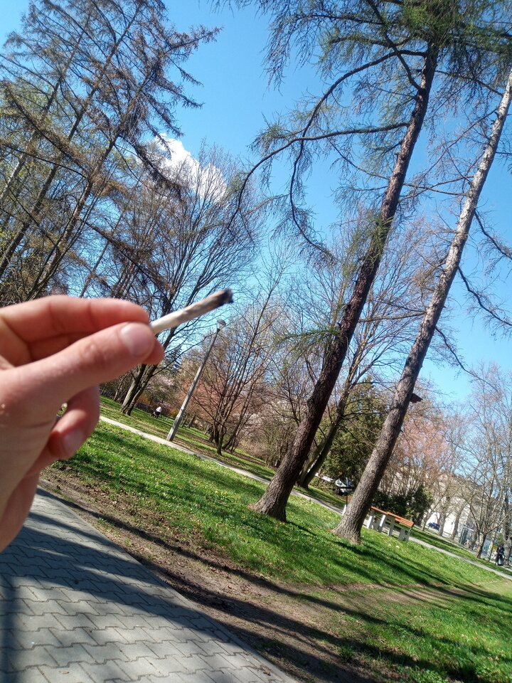 17436839265175249127576572907723.jpg - Dave3344