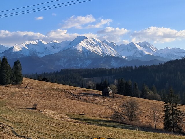 RYBECZKA12345