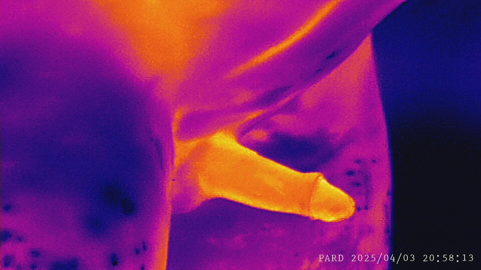 PARD_20250403_205832.JPG - D1D2