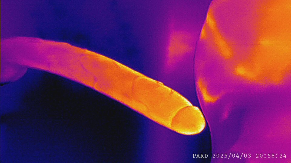 PARD_20250403_205824.JPG - D1D2