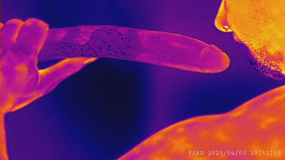 PARD_20250403_205159.JPG - D1D2