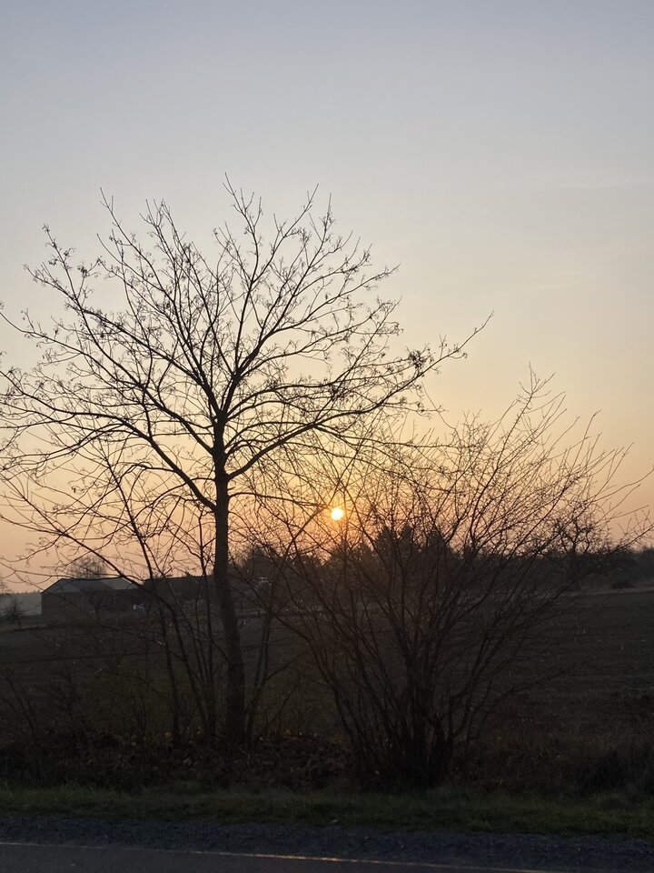 IMG_3625.jpeg - Damapik78