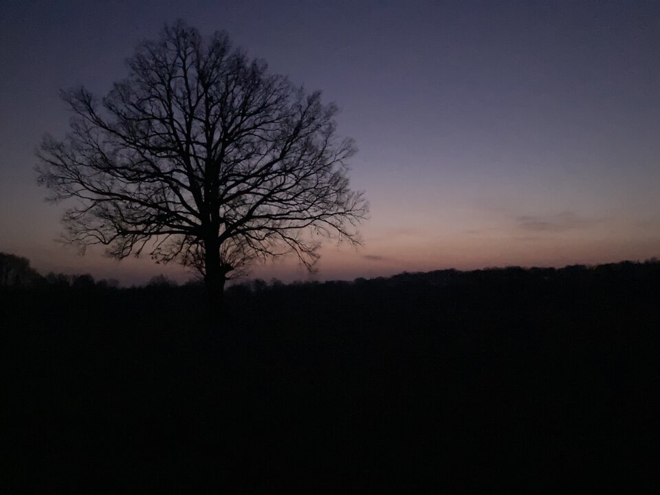 IMG_3612.jpeg - Damapik78