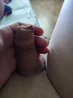 IMG_20250404_064645.jpg