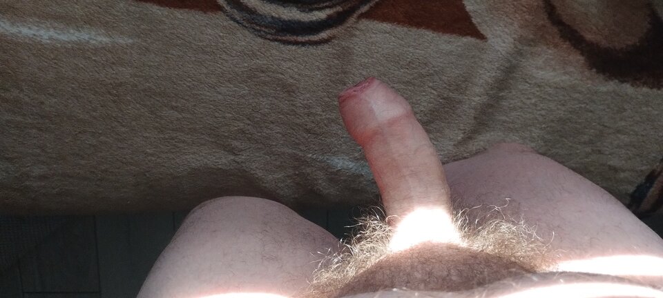 IMG_20250404_071319255.jpg - lublin81