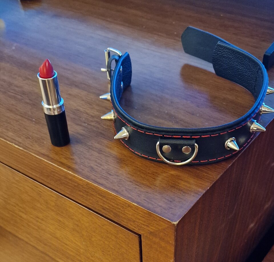 1000024154.jpg - PatiTrans80