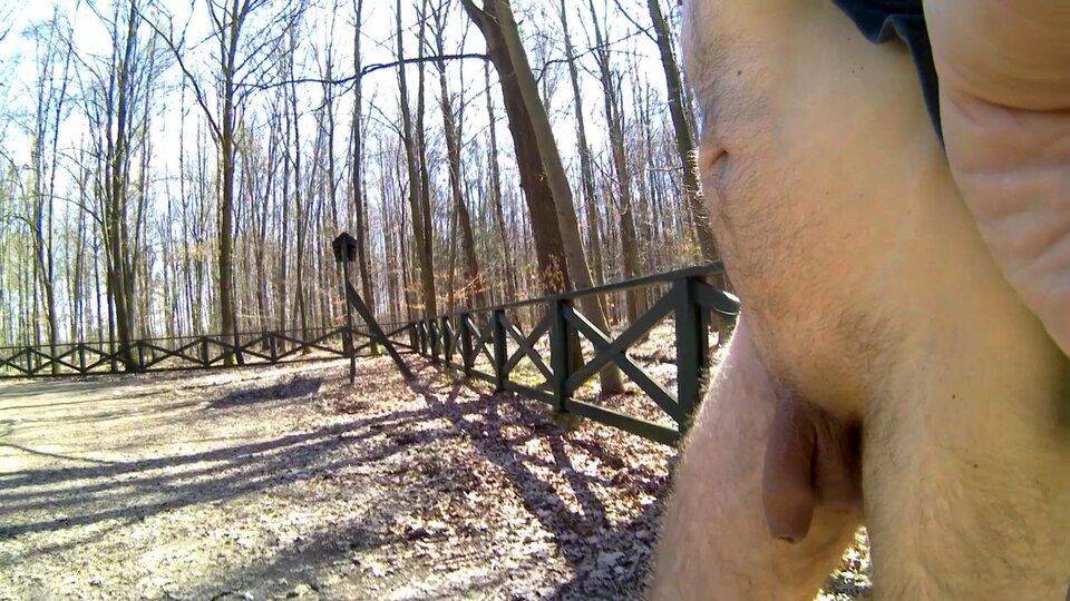 WIESZOWA - spacer od parkingu 20250404_1312.mp4_snapshot_13.25.9 - Krzysztof_cfnm