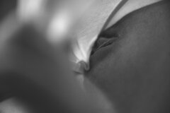 Fotograflodzi nude art.jpg