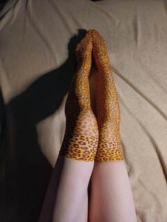 Nowe pończoszki w panterkę, podobaja sie?