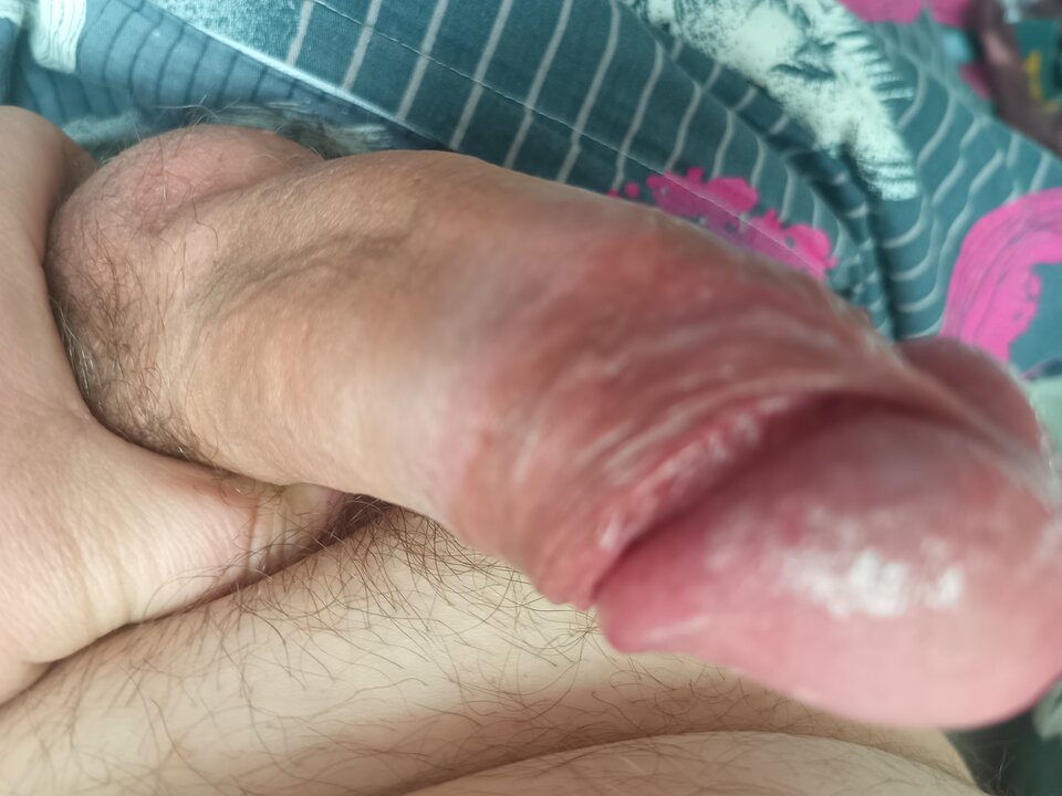 IMG_20250405_094226_948.jpg - ipkins