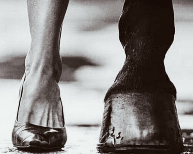 ZupelnieZwyczajnaAleJedyna