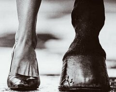 Niby przenośnia, ale jakże prawdziwy przekaz...