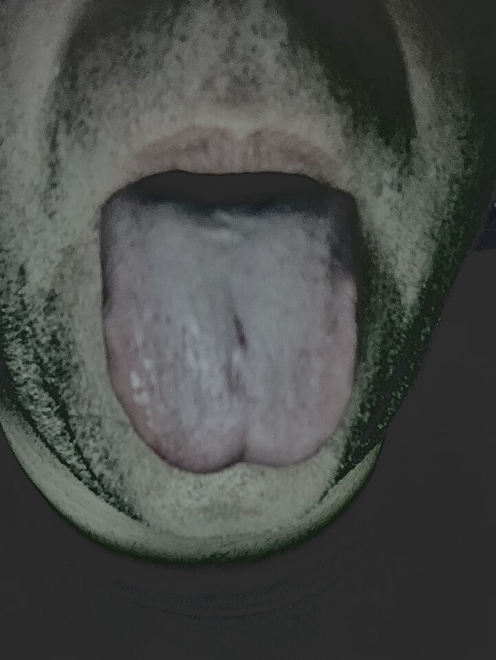 IMG_4186.jpeg - Towarzyskoon