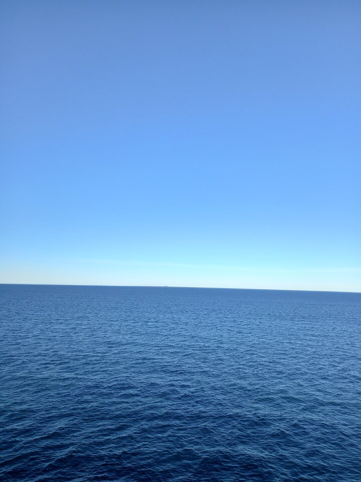 20250317_083206.jpg - ZnudzonyZonaty