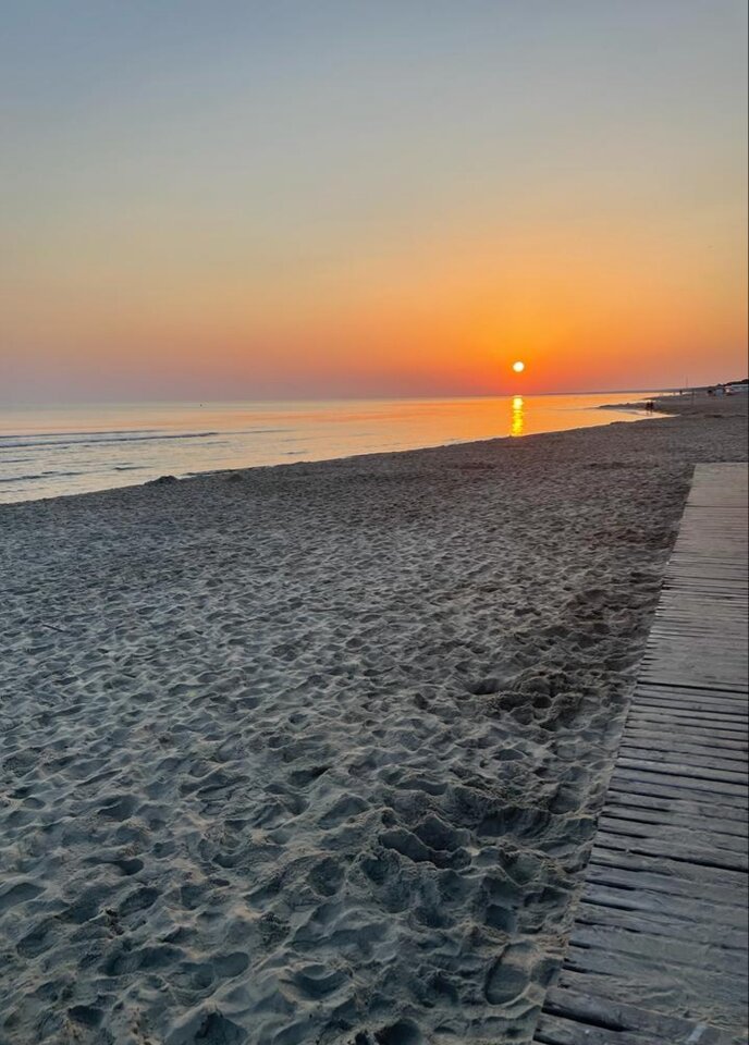 20250406_104210.jpg - harryraider