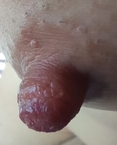 Sutek 