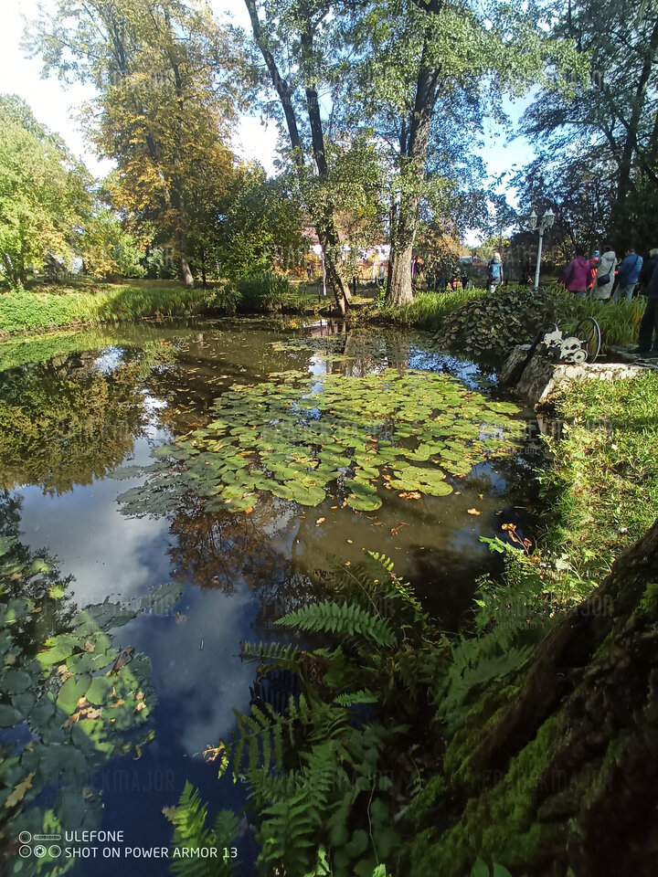 IMG_20241012_112533_019.jpg - franekmajor