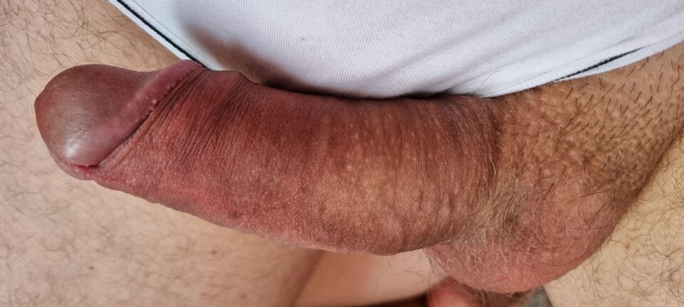 20240719_081210.jpg - Andrzej84848484