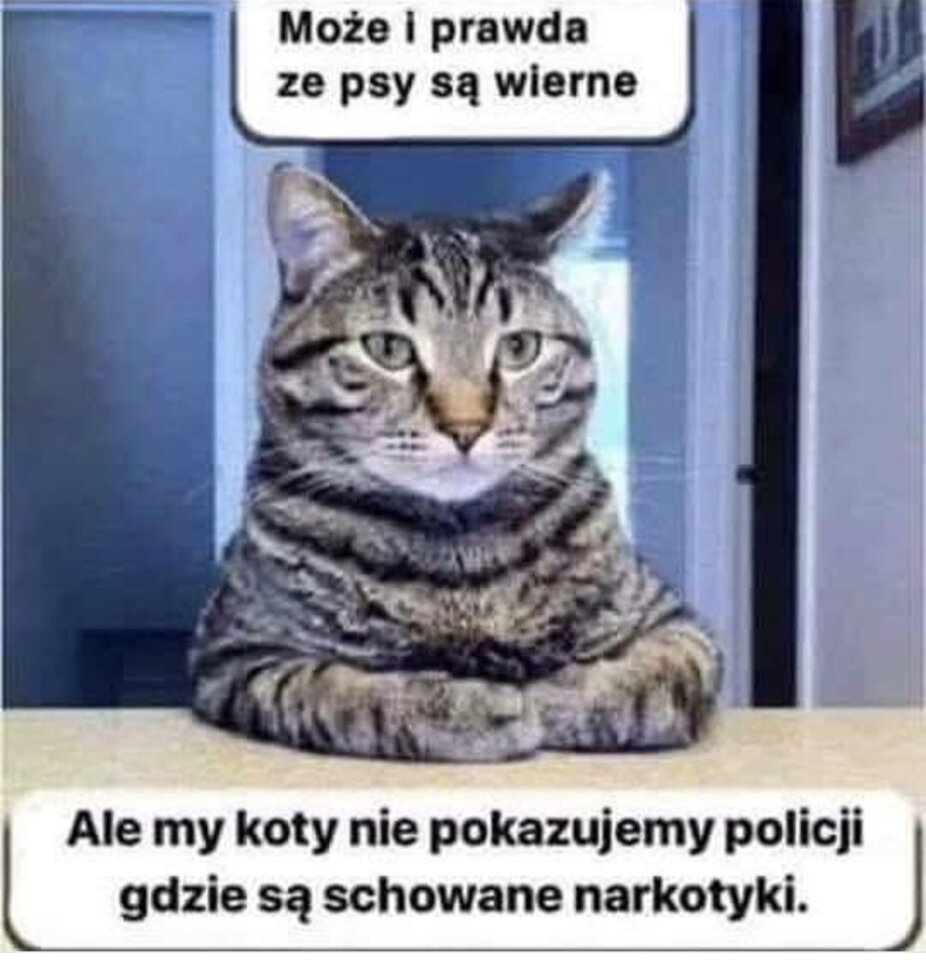 1000021696.jpg - Miniek234