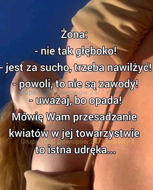 IMG_0560.jpeg - kingcrimson