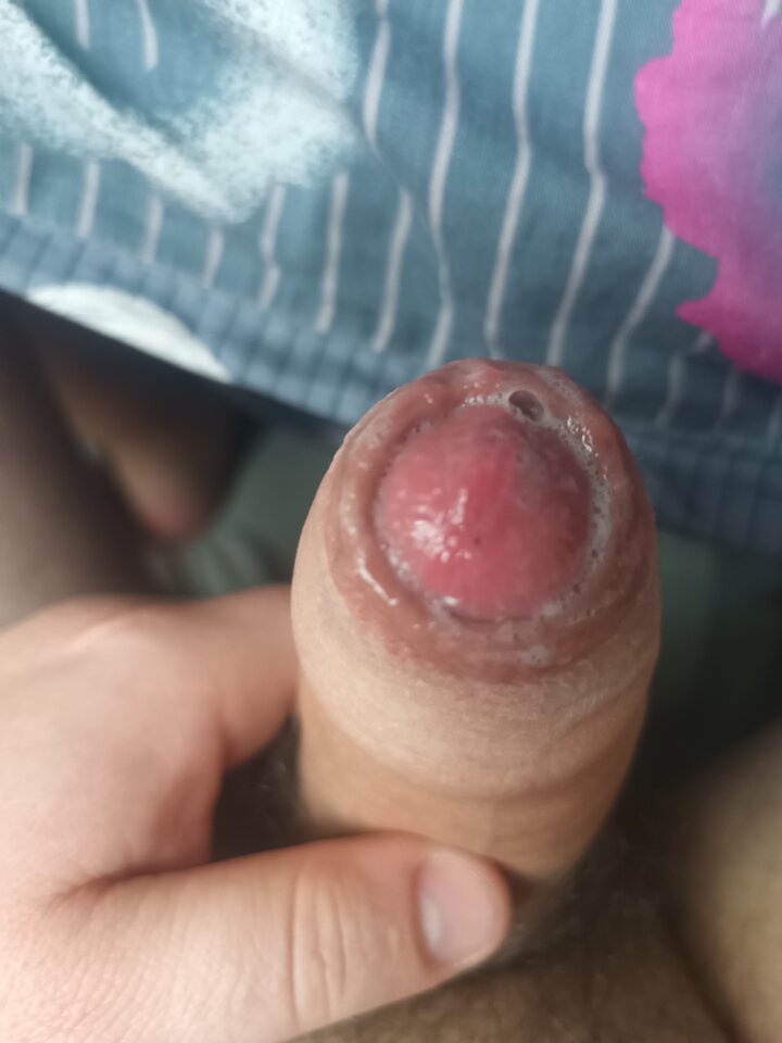 IMG_20250407_083222_642.jpg - ipkins