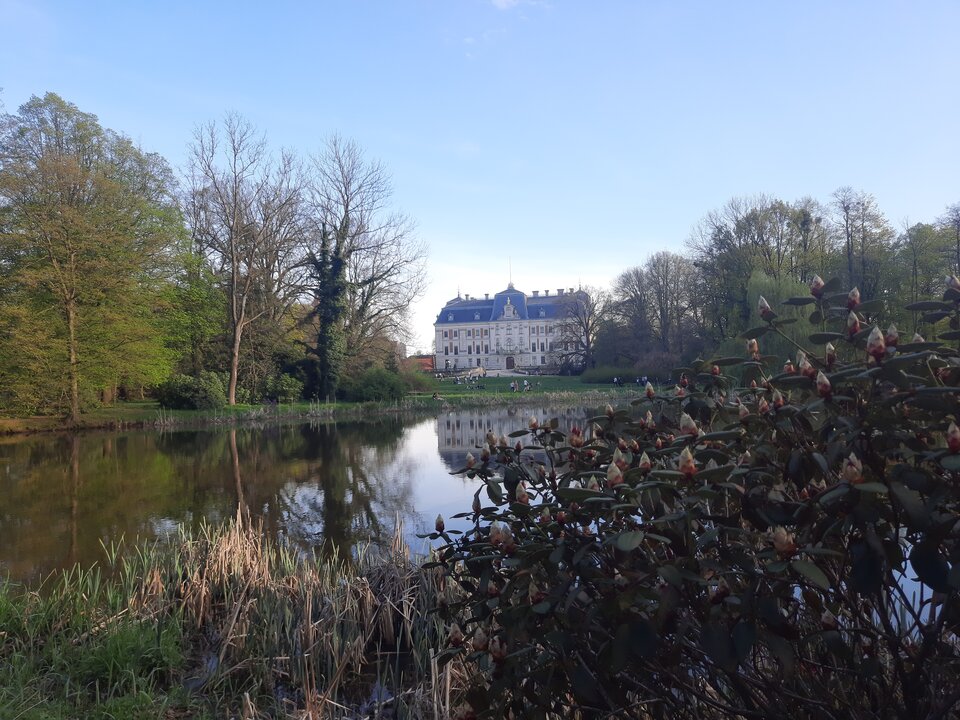 20240407_174120.jpg - MarkWebber