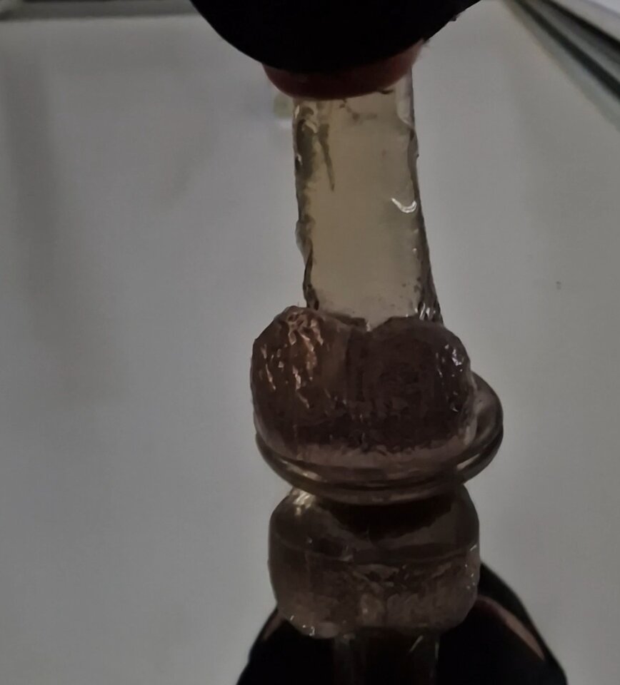 1000017366.jpg - Analnygosc