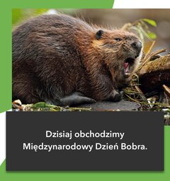 do you know what that means?