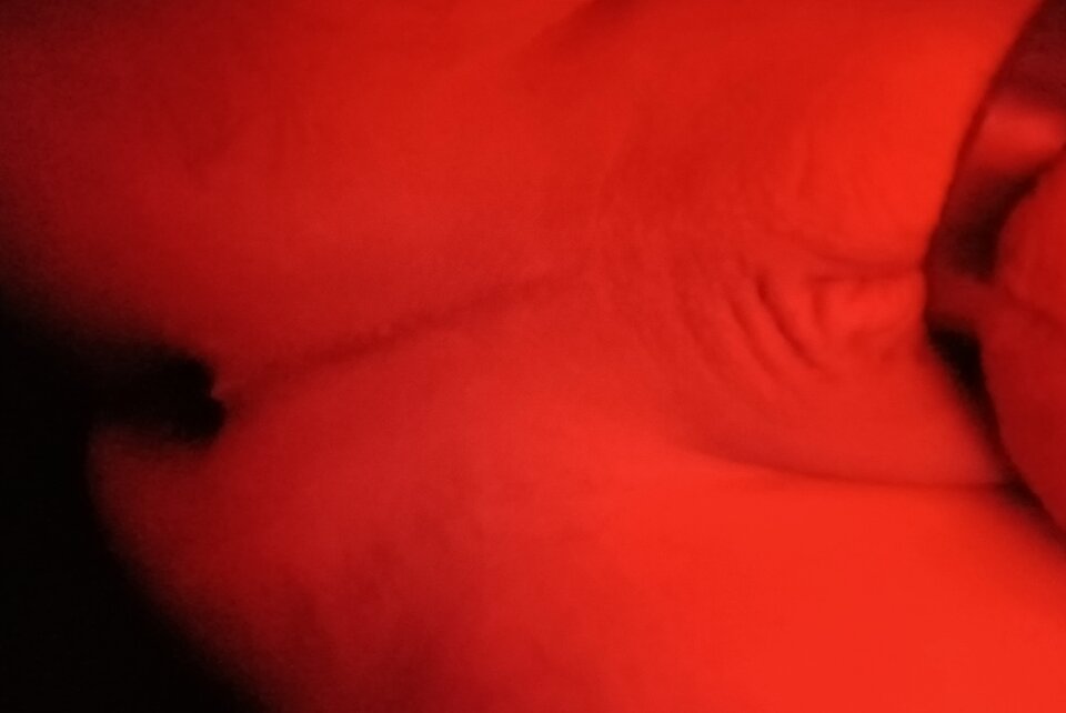 20250407_162333.jpg - Pasywny696969