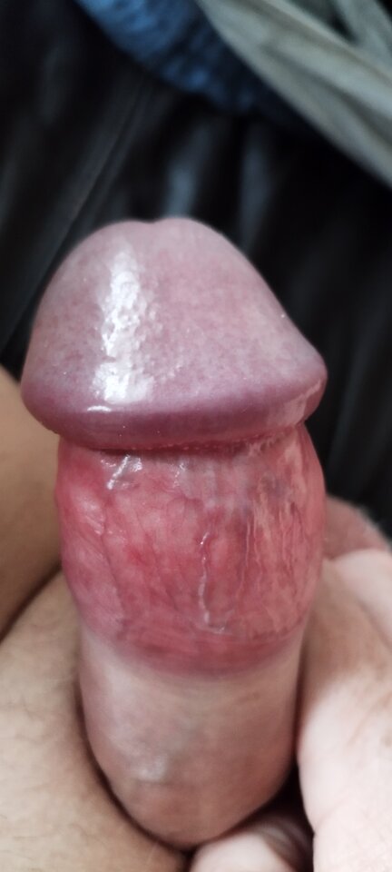 IMG_20250407_173145.jpg - Pio20980