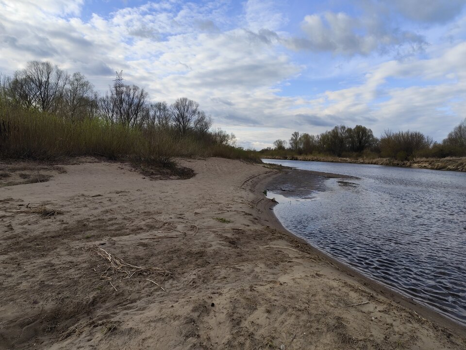 1000001134.jpg - ParaAL3942