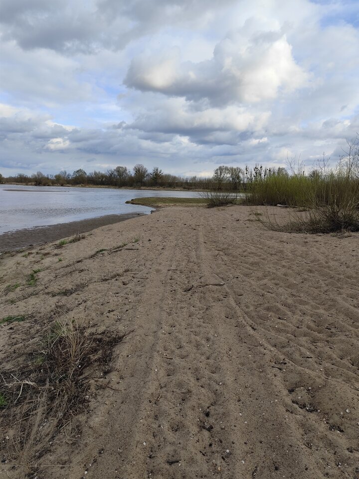 1000001132.jpg - ParaAL3942