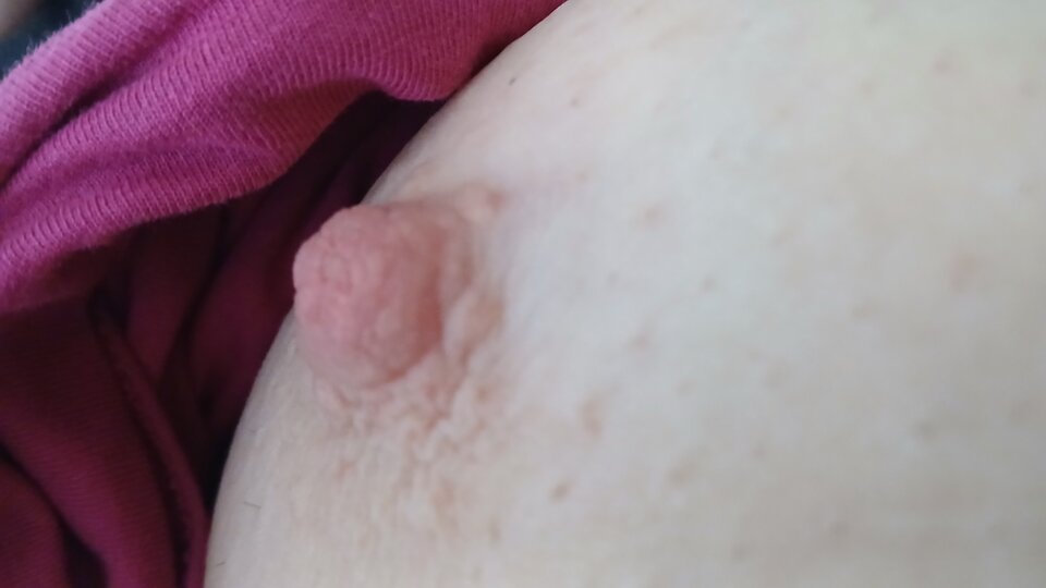 1000003834.jpg - kusy13