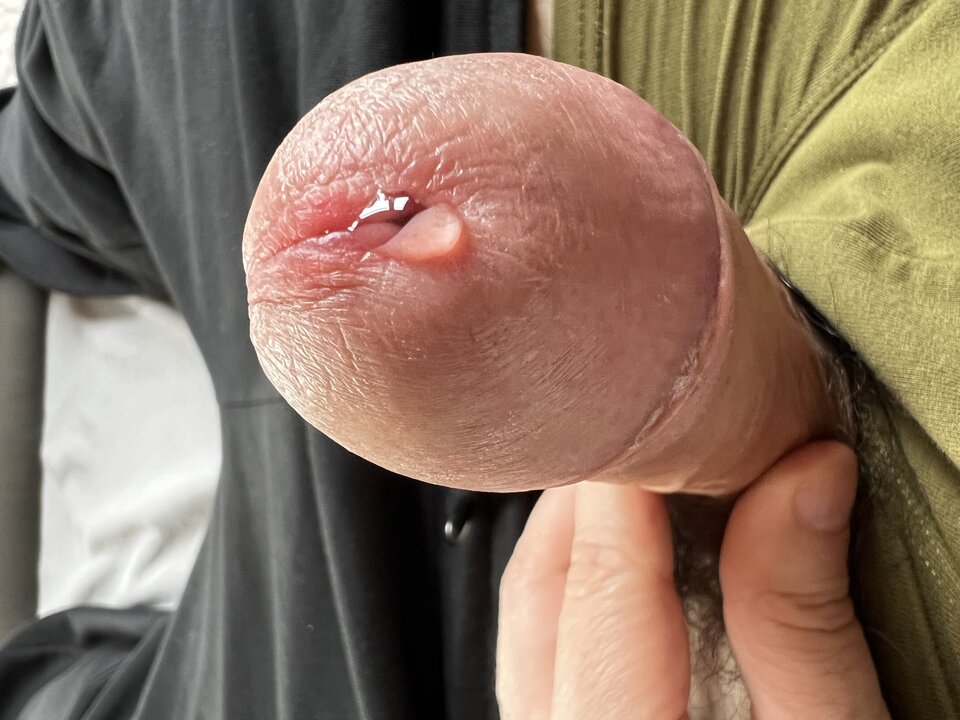 IMG_2394.jpeg - pitbig