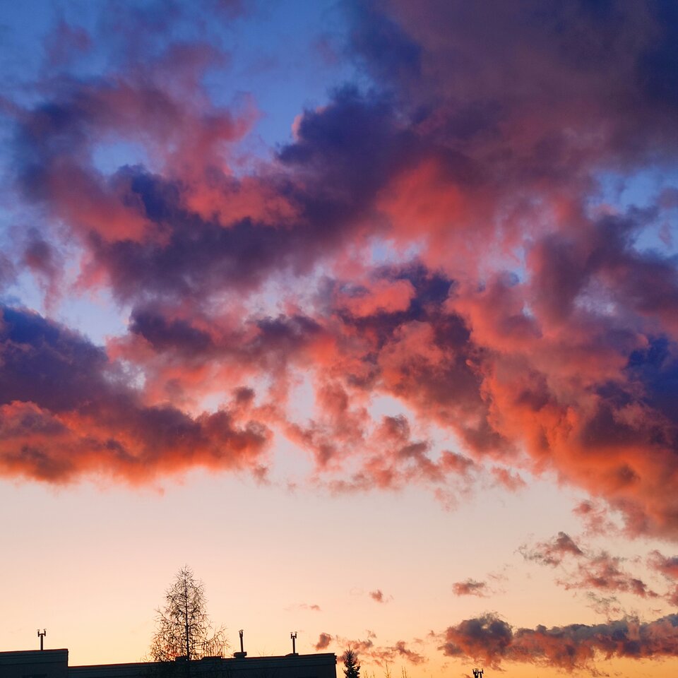 IMG_20250407_192604.jpg - Pusia42